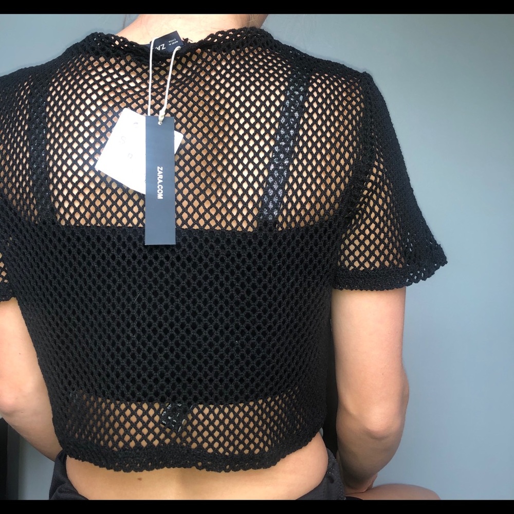 Zara Mesh Embroidered Crop Top